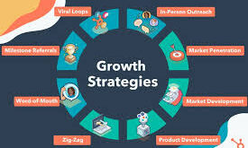 Financial Growth Strategies