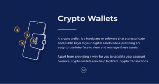 Best Crypto Wallet