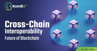 Cross-Chain Crypto Bridges