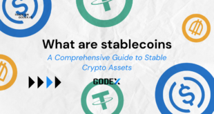 Stablecoins Investment Guide