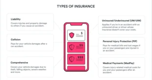 Auto Insurance for Freelancers